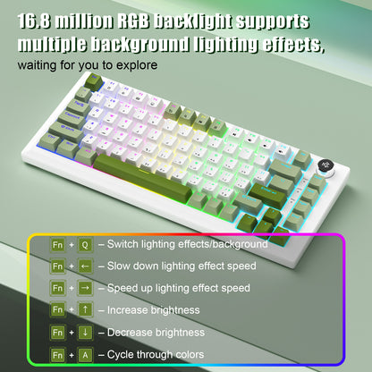 SK02 Wired Mechanical Keyboard